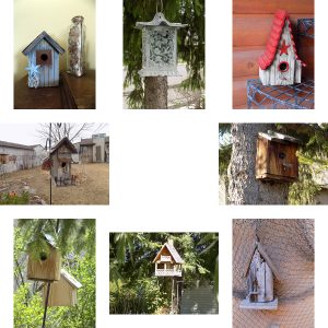Birdhouse photos