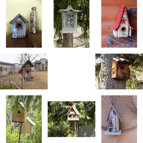 Birdhouse photos