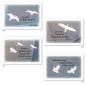 Shadow greeting cards