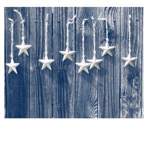 Photo of silver stars on blue fence