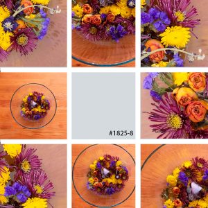 digital images of flowers for social media