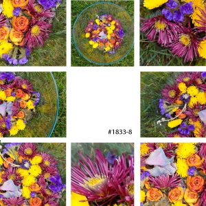 Eight social media florals