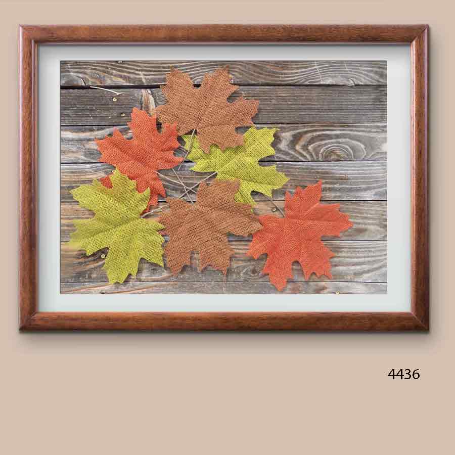 framed scattered leaves