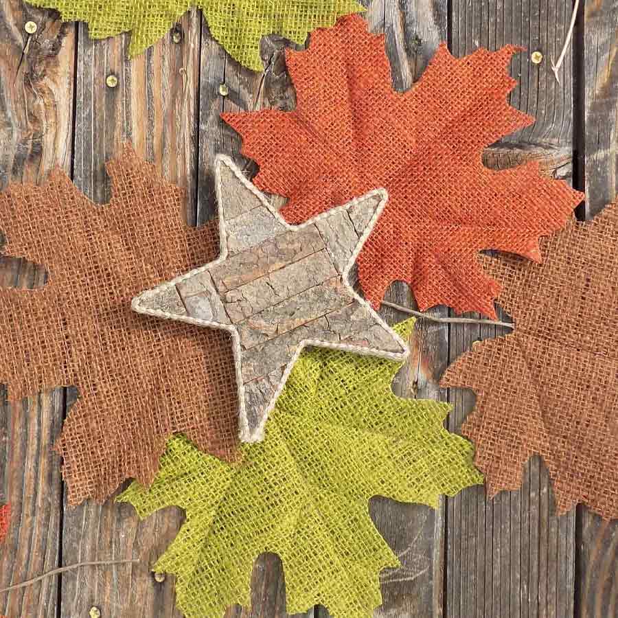 fall leaves with star